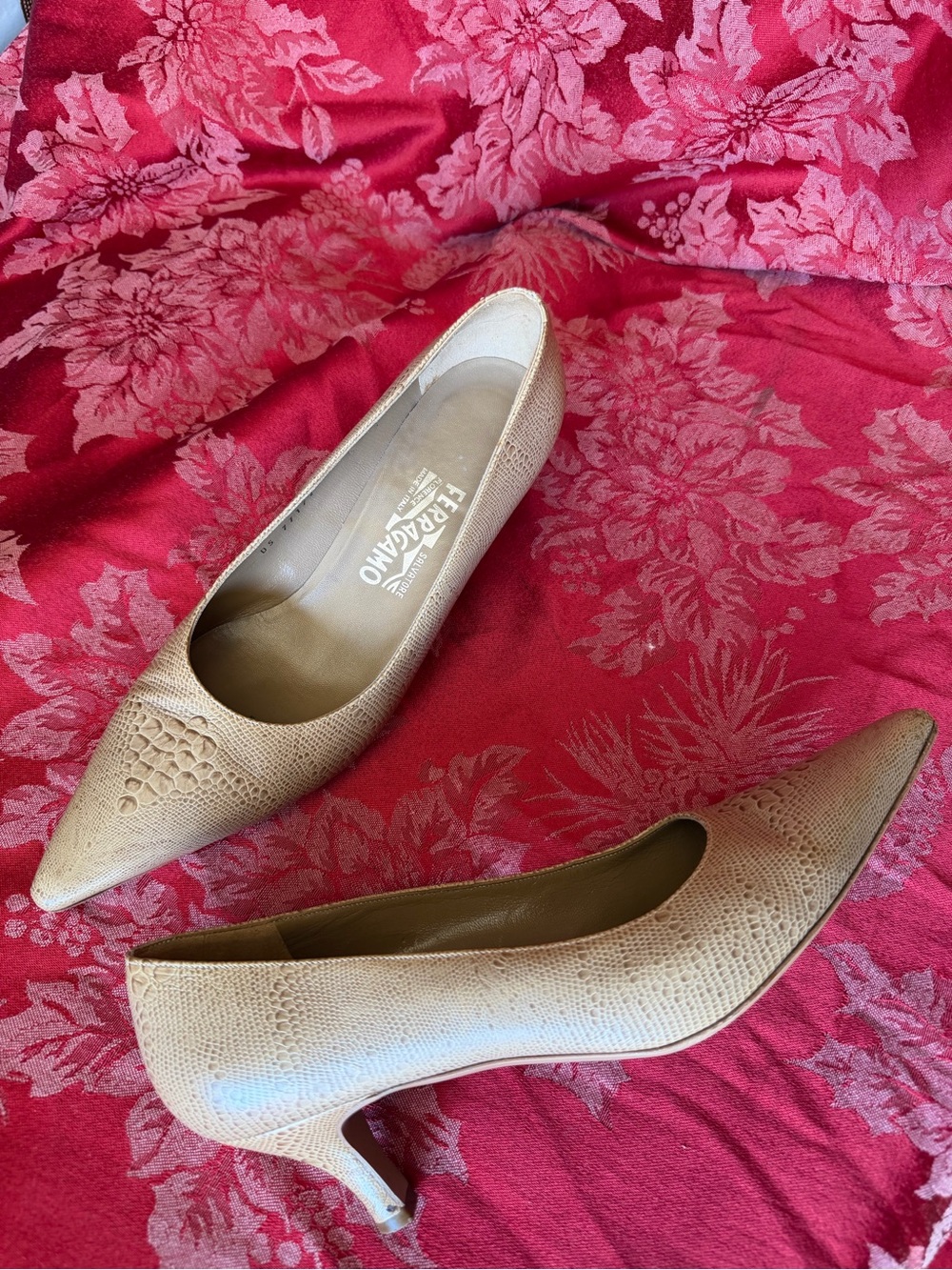 Ferragamo Snake Print kitten Heels